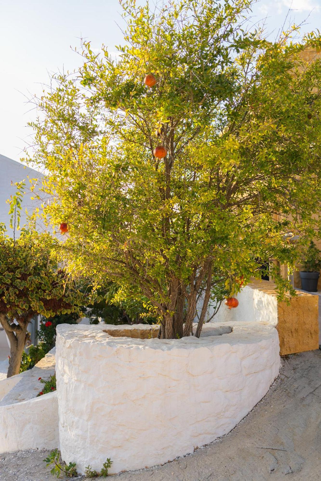 Villa Anton By Cura Villas Collection Kalathas Extérieur photo
